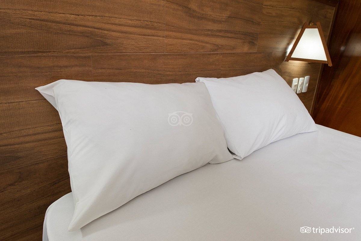 standard-room--v17882918