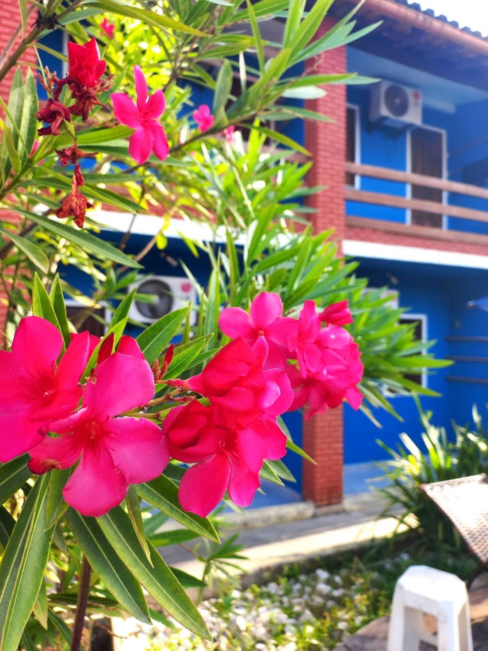 galeria-1674229033-609